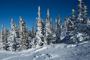 Similar image 21954728