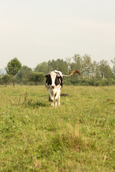 Similar image 21955276