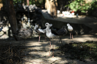 Similar image 21964998