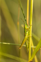 Similar image 21965000