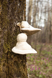 Similar image 21965002