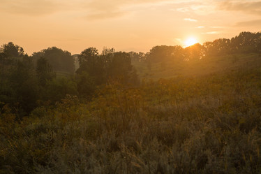 Similar image 21965314