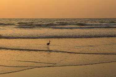 Similar image 21965317