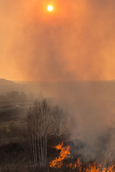 Similar image 21952701