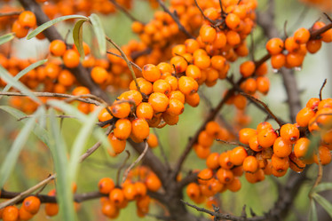 Similar image 21952792