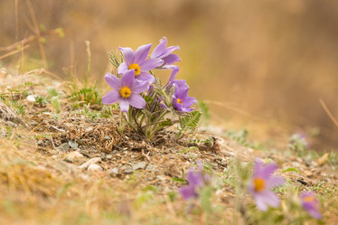 Similar image 21952903