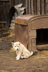 Similar image 21952912