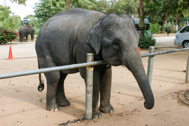 Similar image 21953071