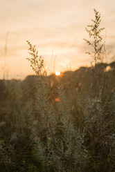 Similar image 21953076