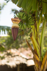 Similar image 21953077