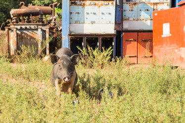 Similar image 21953079