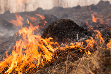 Similar image 21954493