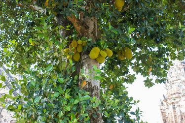 Similar image 21954494