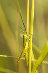 Similar image 21954732