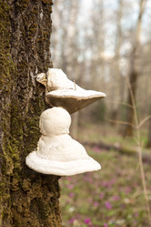 Similar image 21954734