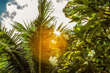 Similar image 21955130