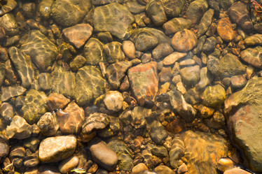 Similar image 21955131