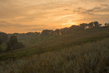 Similar image 21955137