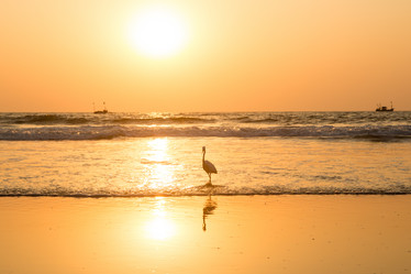 Similar image 21955277