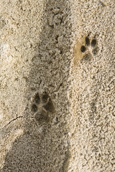 Similar image 21965018