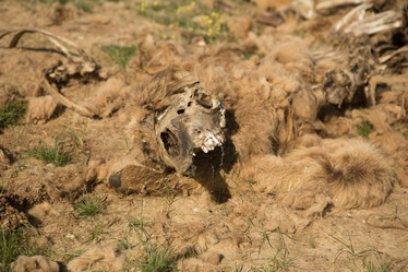 Similar image 21965322