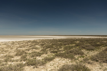 Similar image 21953090