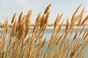 Similar image 21954042