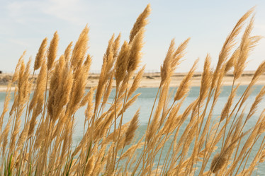 Similar image 21954044