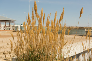 Similar image 21954048