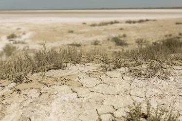 Similar image 21954277