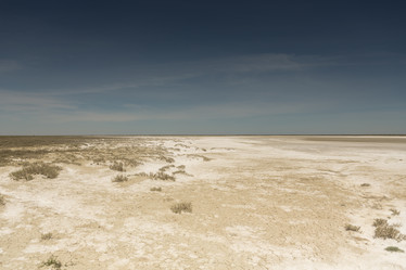 Similar image 21954279