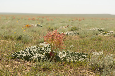 Similar image 21954281