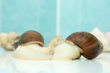 Similar image 21954506