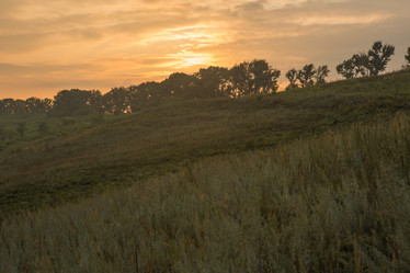 Similar image 21954741