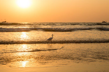 Similar image 21954744