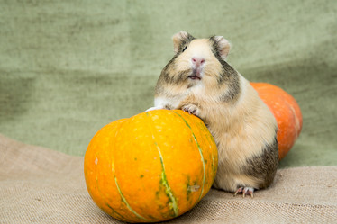 Similar image 21952921