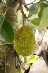 Similar image 21953099