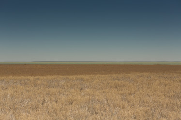 Similar image 21954515