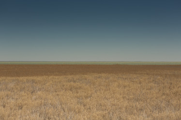 Similar image 21954516