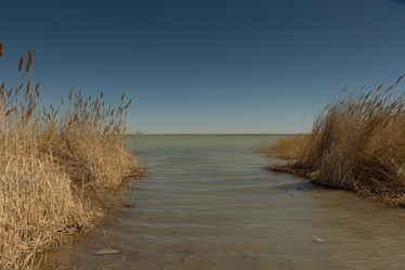 Similar image 21954750