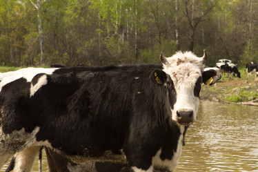 Similar image 21955142