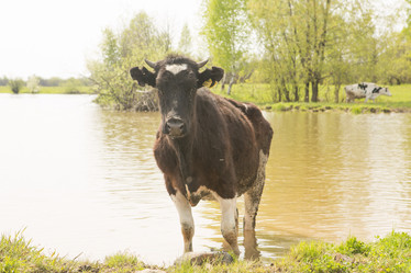 Similar image 21955143