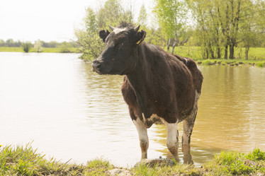 Similar image 21955144