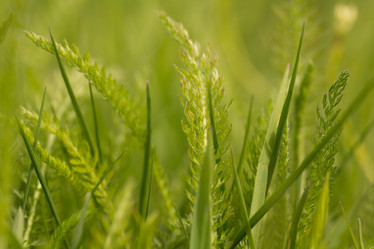 Similar image 21955147