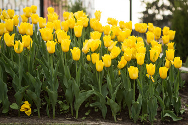 Similar image 21965022