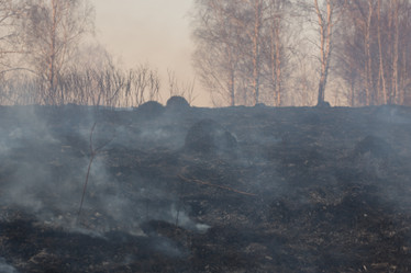 Similar image 21965026