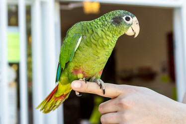 Similar image 21965027