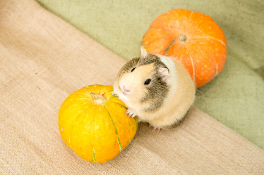 Similar image 21965336