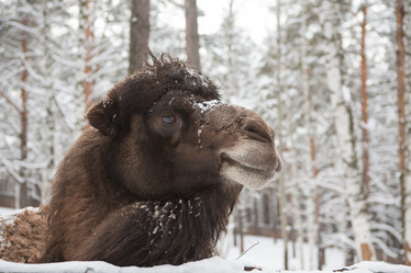 Similar image 21965339