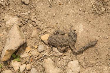 Similar image 21954518